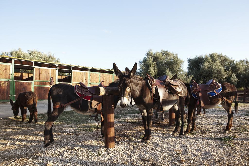 Вилла Agriturismo Agrimilo Ното Экстерьер фото