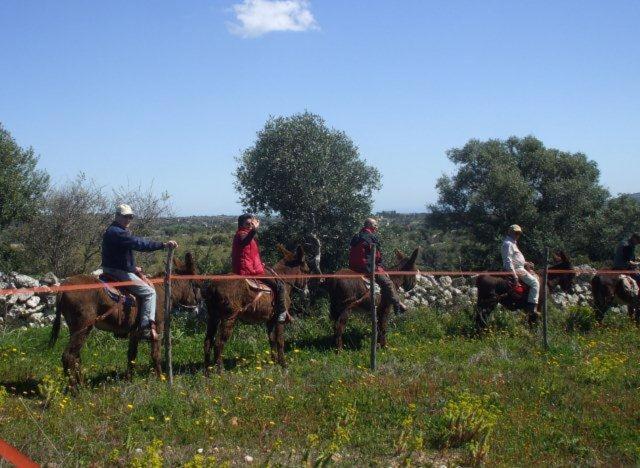 Вилла Agriturismo Agrimilo Ното Экстерьер фото