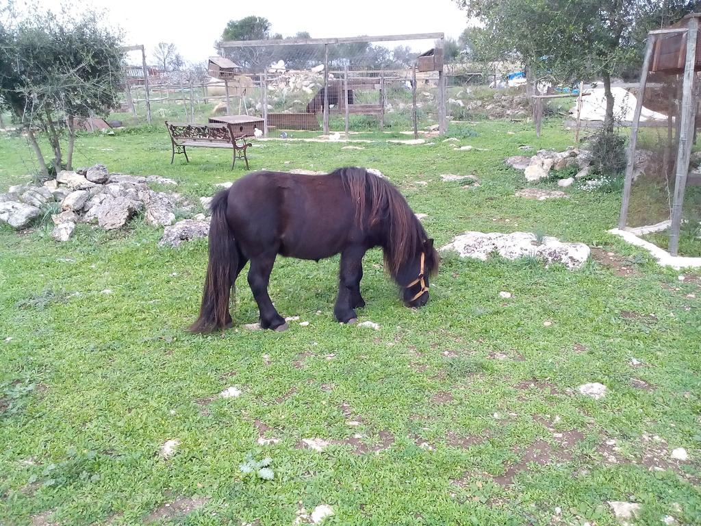 Вилла Agriturismo Agrimilo Ното Экстерьер фото