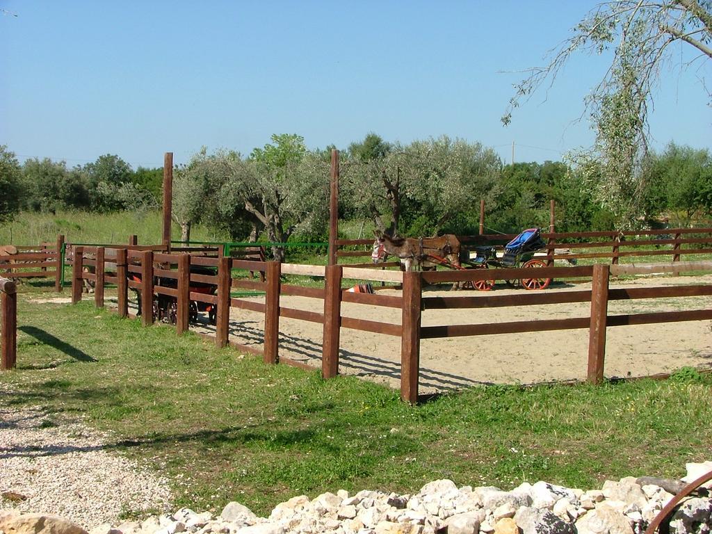 Вилла Agriturismo Agrimilo Ното Экстерьер фото